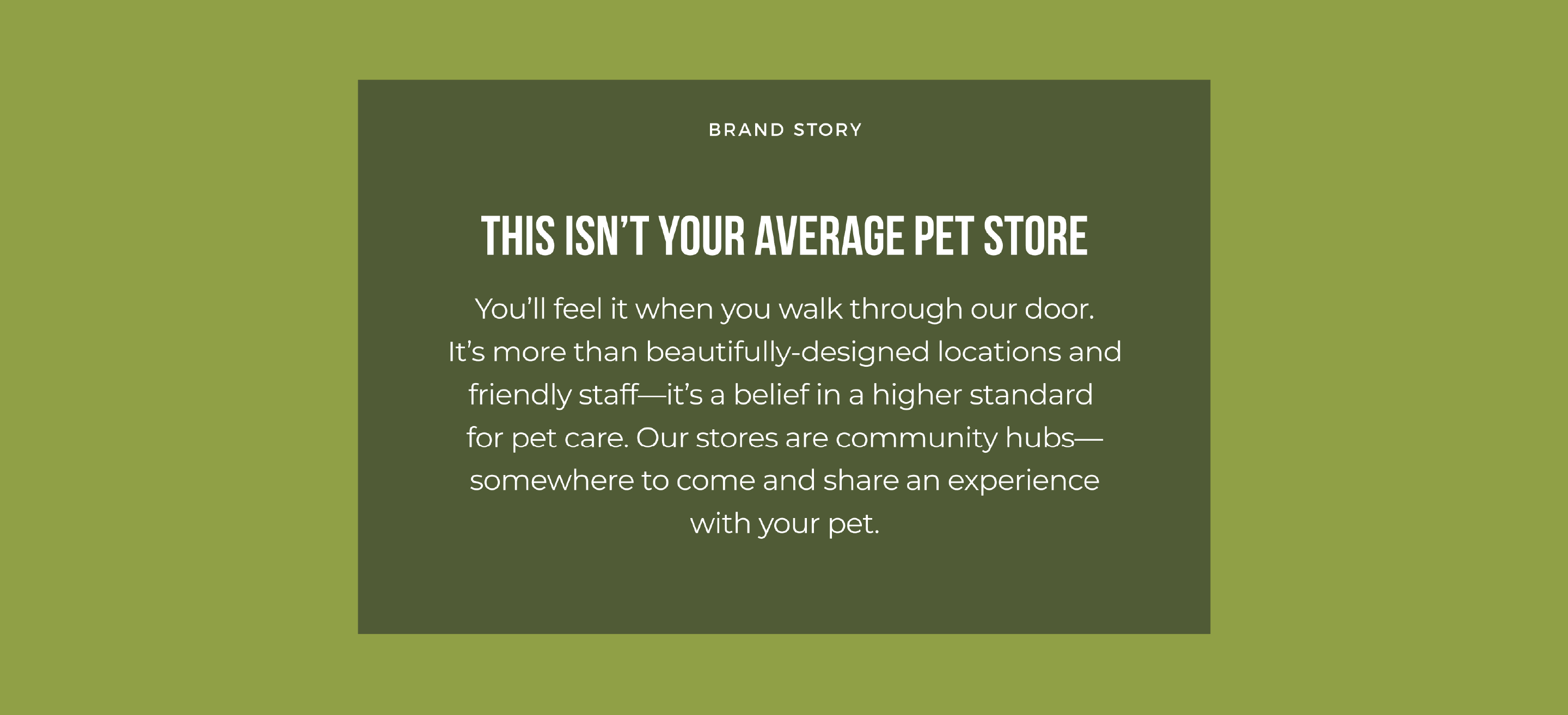 Homes Alive Pets isn't your average pet store.