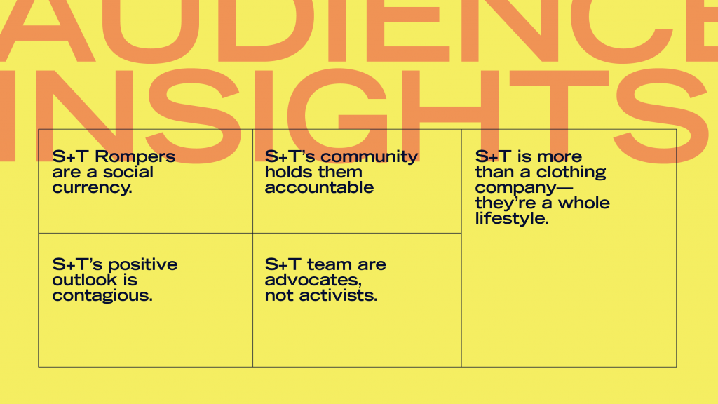 Audience insights for Smash and Tess that informed brand positioning