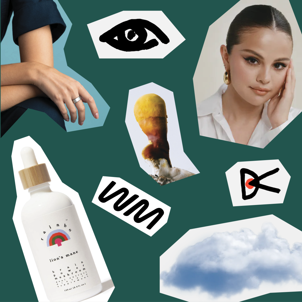 What Does Transparency Mean for Your Brand?